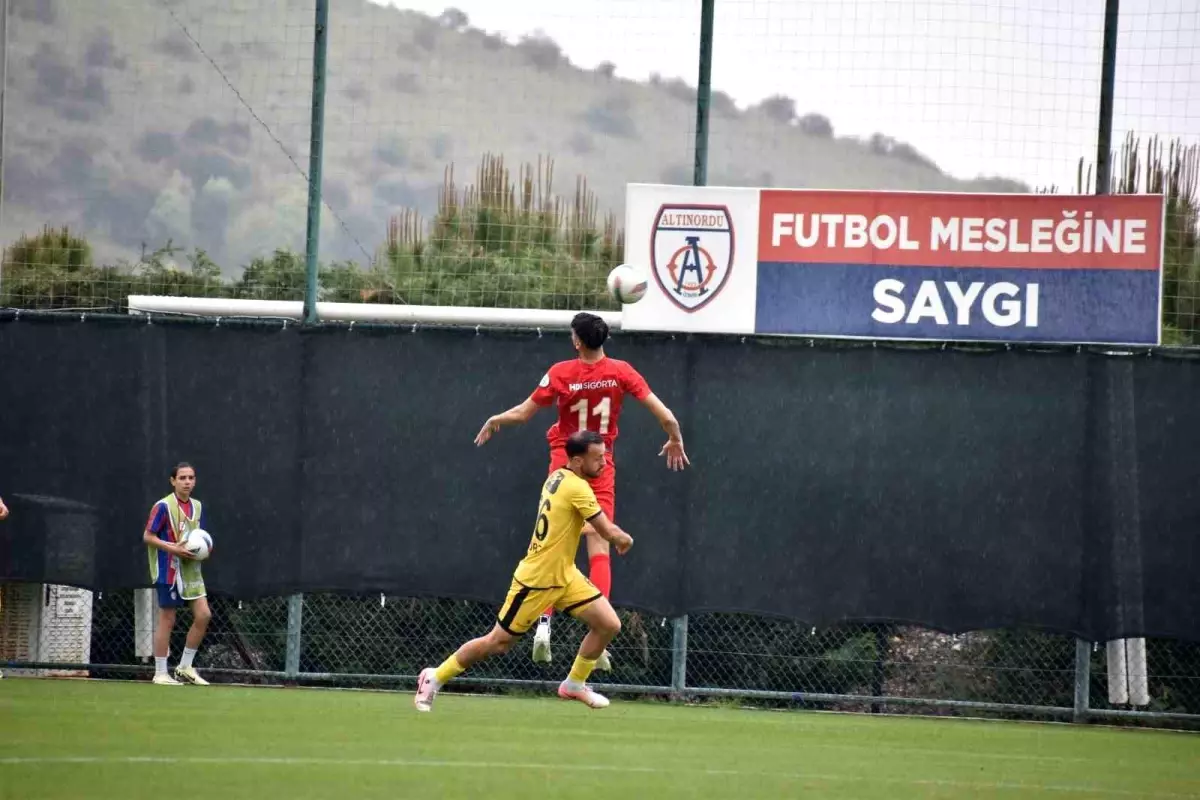 Altınordu, Adana 1954 FK'ya 2-0 Yenildi