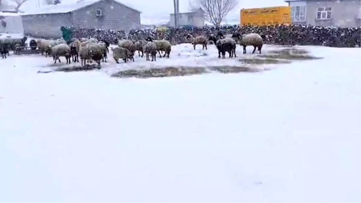 Bitlis'te Besiciler Nisan'da Kar Esaretiyle Mücadele Ediyor
