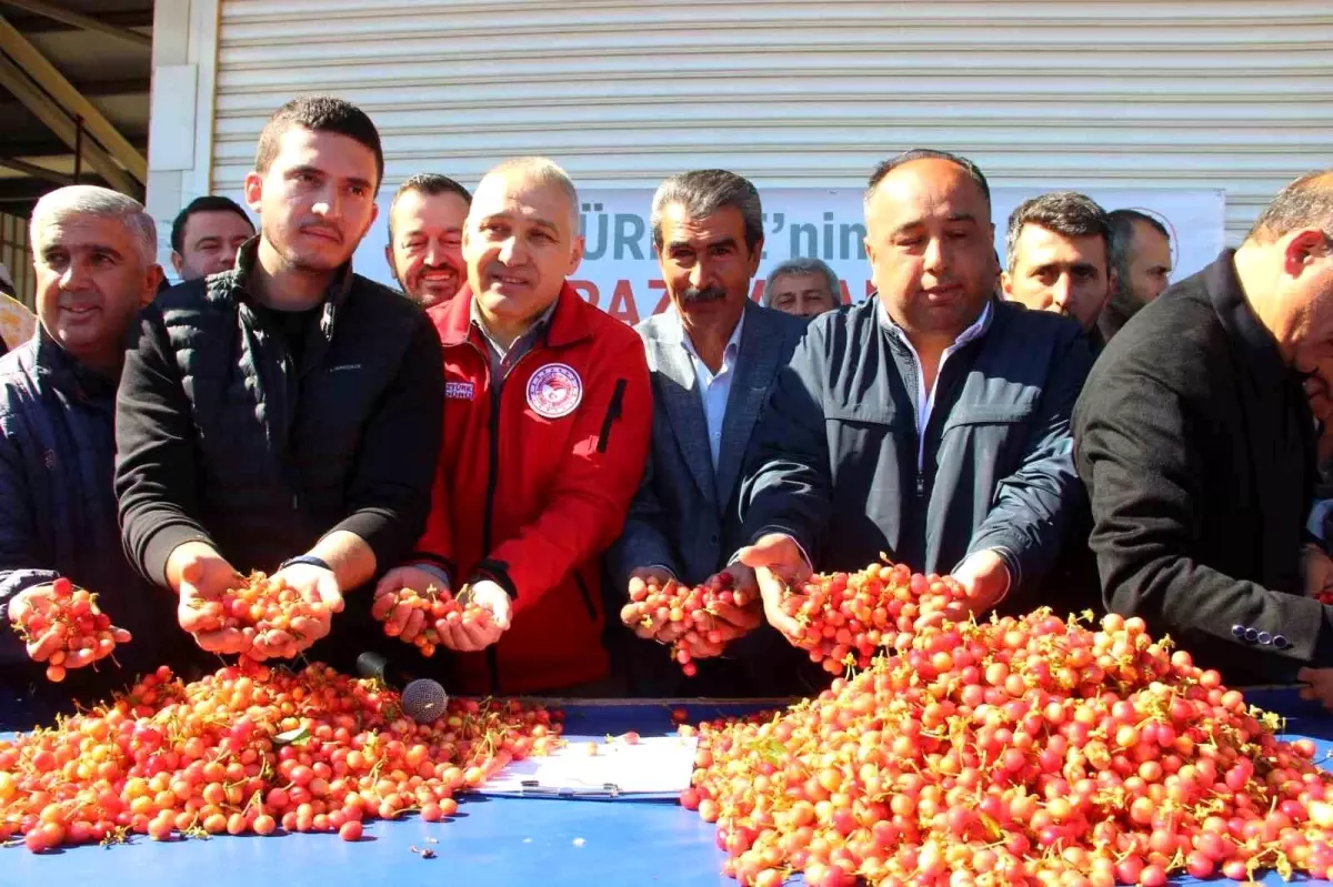 İlk kirazın kilosu 3 bin 500 TL'den satıldı
