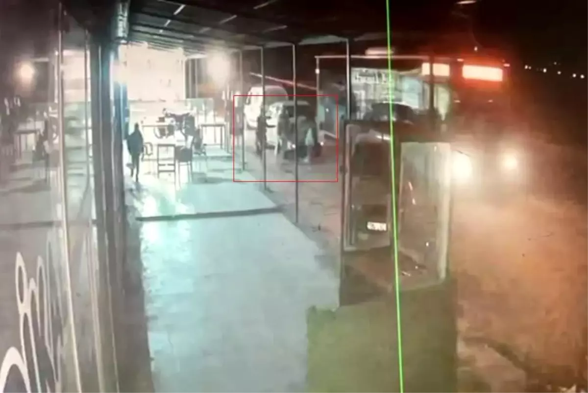 Başka Bir Hayat Kaybı: Sokak Köpeklerinden Kaçarken Otomobilin Çarptığı Öğrenci Hayatını Kaybetti