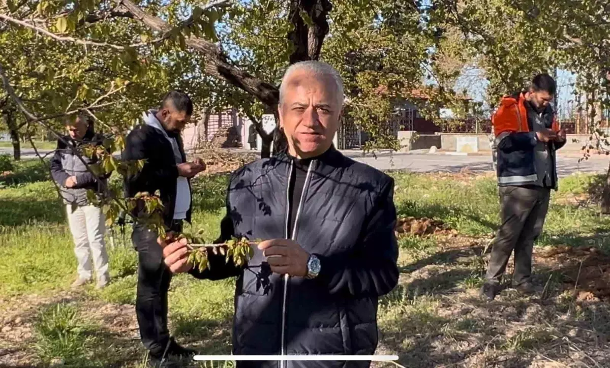 Malatya İş İnsanları Başkanı, Kayısı Üreticilerine Destek Sözü Verdi