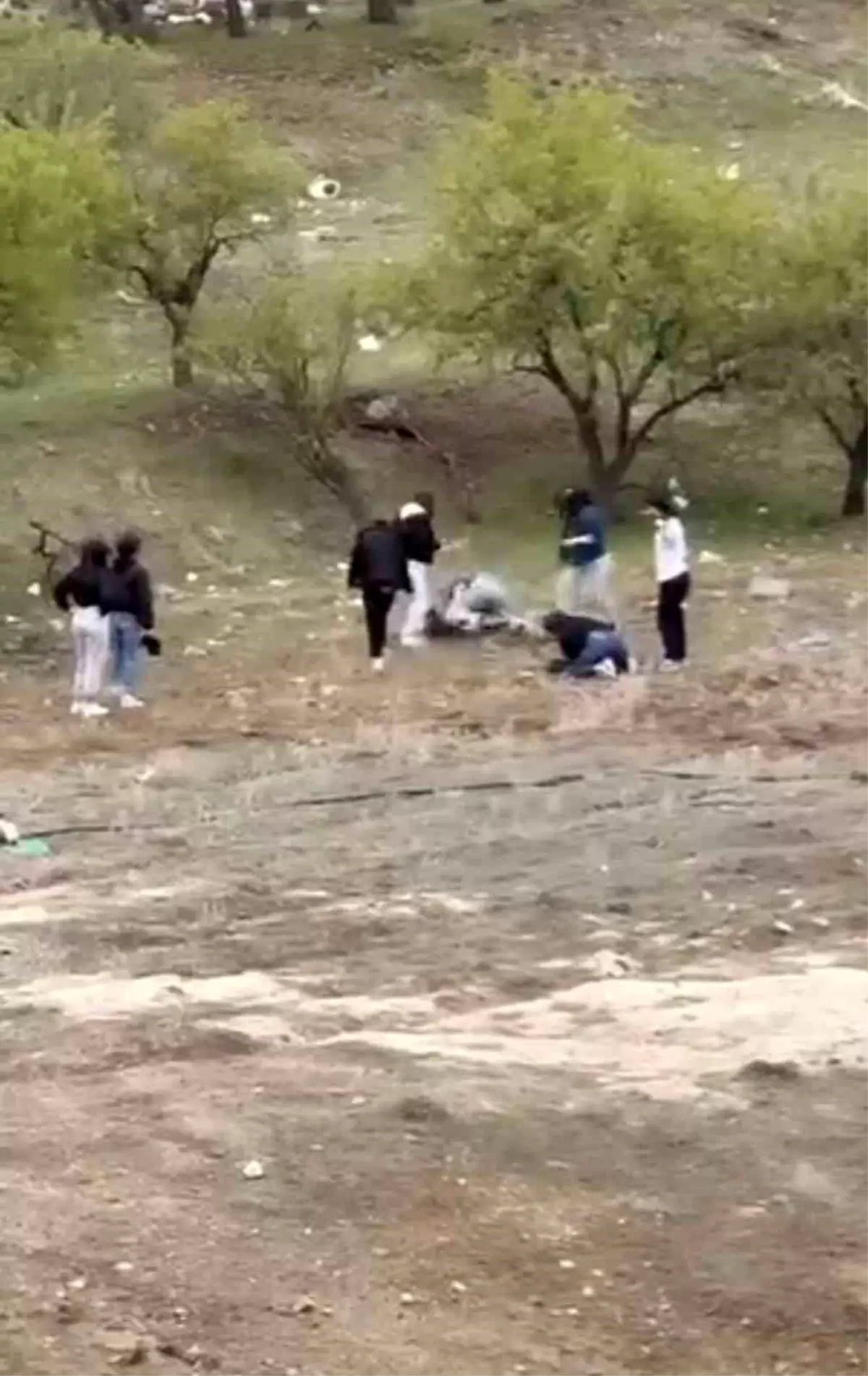 Elazığ'da Genç Kızlar Arasında Kavga Kameralara Yansıdı