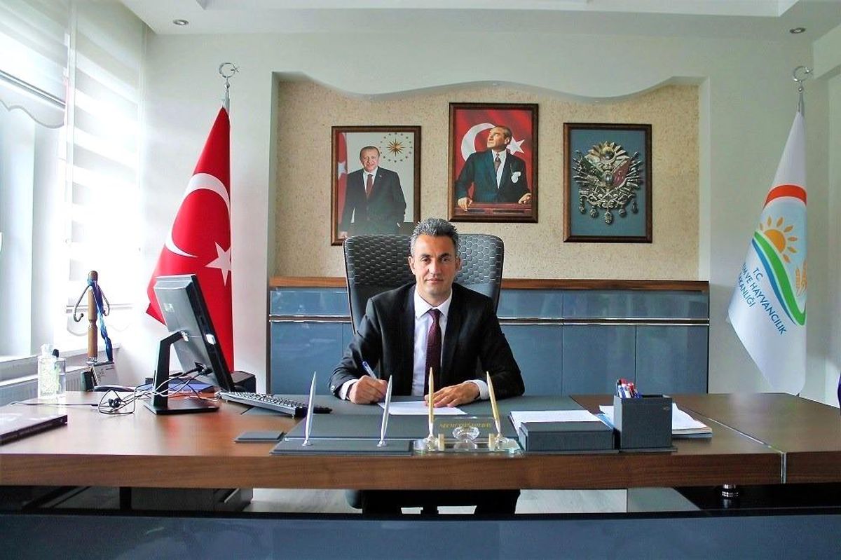 Bilecik'te Kuzu, Oğlak, Buzağı ve Malak Desteklemeleri İçin Başvurular Başladı