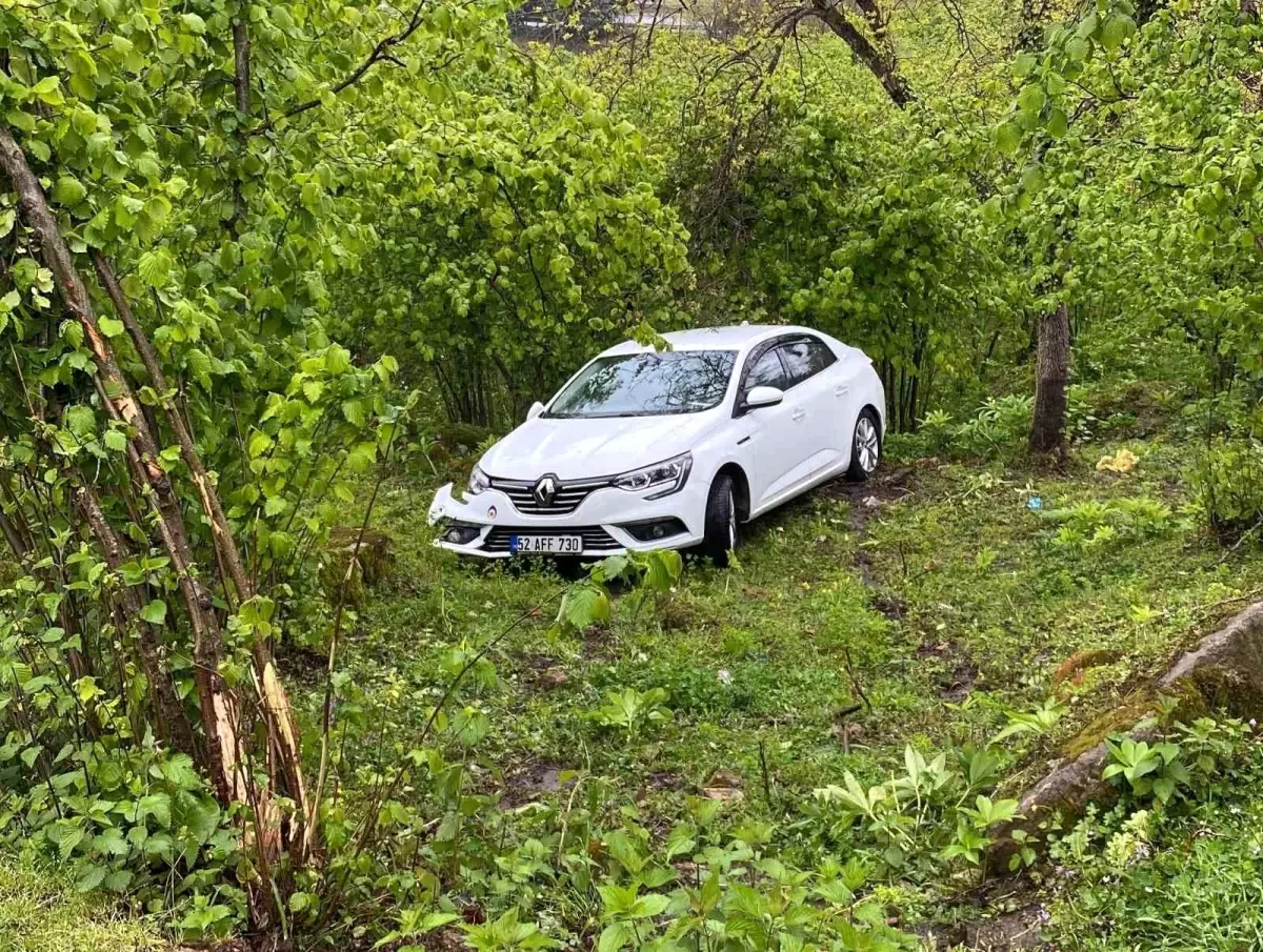 Ordu'da Kontrolden Çıkan Otomobil Fındık Bahçesine Uçtu