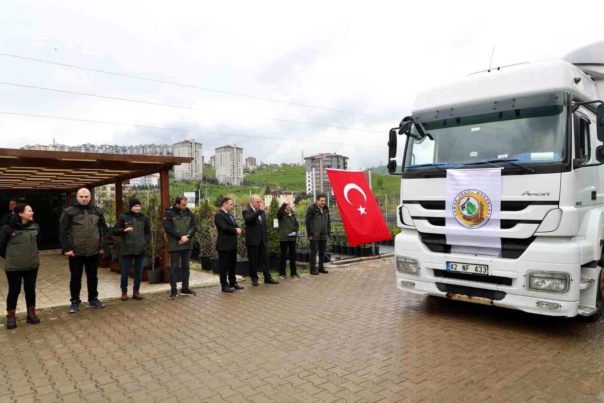 Ordu'dan Azerbaycan'a 7 Bin 200 Orman Fidanı Gönderildi
