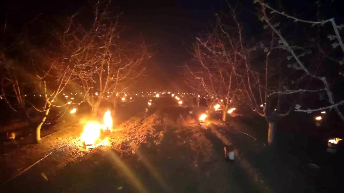 Eskişehir İl Tarım Müdürlüğü'nden Don Riski Uyarısı
