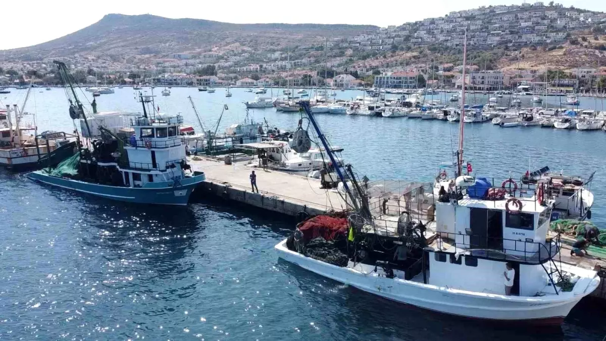 Endüstriyel Balık Avcılığına Av Yasağı Getirildi