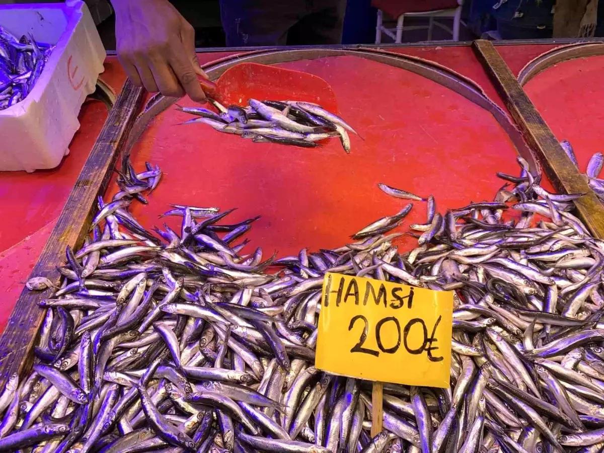 Eskişehir'de Balık Sezonu Sona Eriyor, Satışlar Artıyor