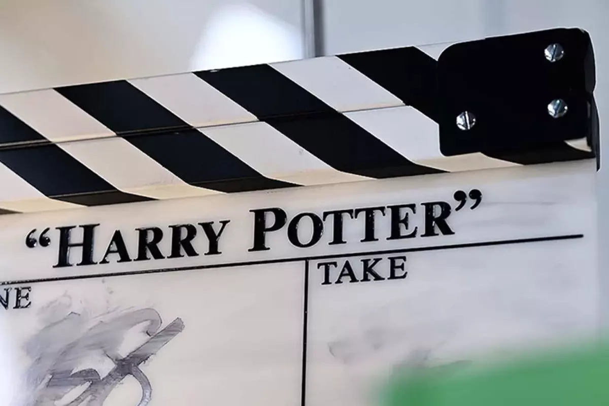 Harry Potter dizisinde yer alacak oyuncu kadrosu belli oldu