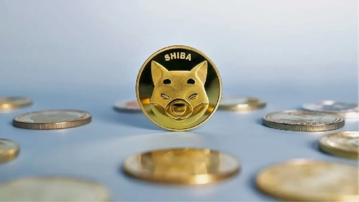 Shiba Inu (SHIB) Fiyatında Yüzde 50 Düşüş Kapıda mı?