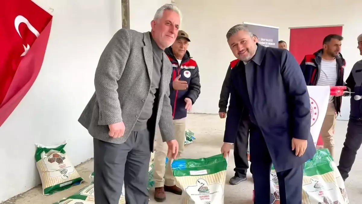 Sinop'ta Kuru Fasulye Üretimi Artacak