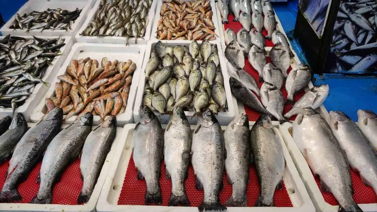Balık Avı Yasağı Süresince Fiyatlar ve Sezonun Bereketi