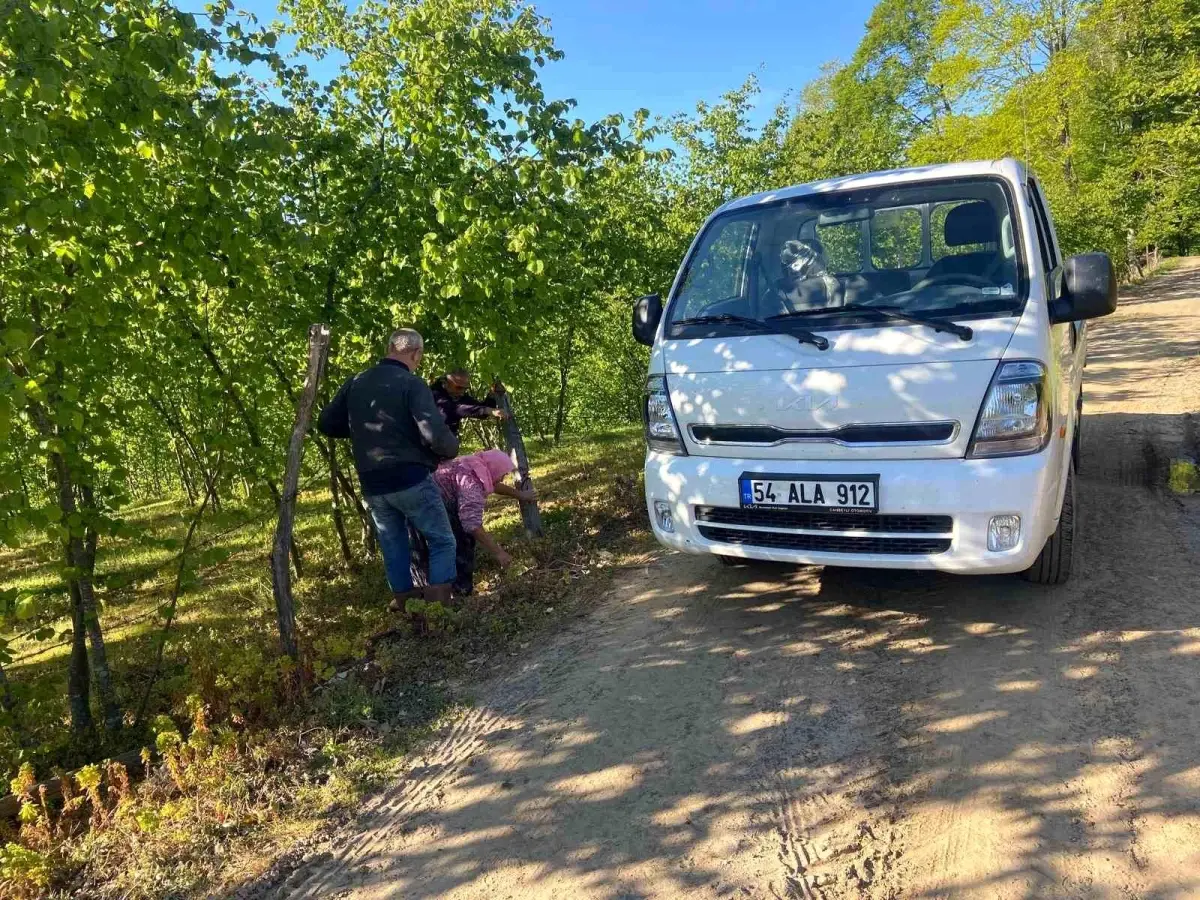 Kocaali'de Kayıp Zihinsel Engelli Kadın Bulundu