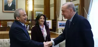Cumhurbaşkanı Erdoğan'dan Sırrı Süreyya Önder talimatı