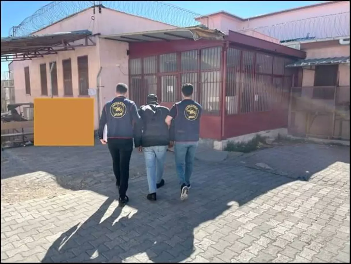 Eskişehir'de Hırsızlık Suçundan Aranan Şahıs Çobanlık Yaparken Yakalandı