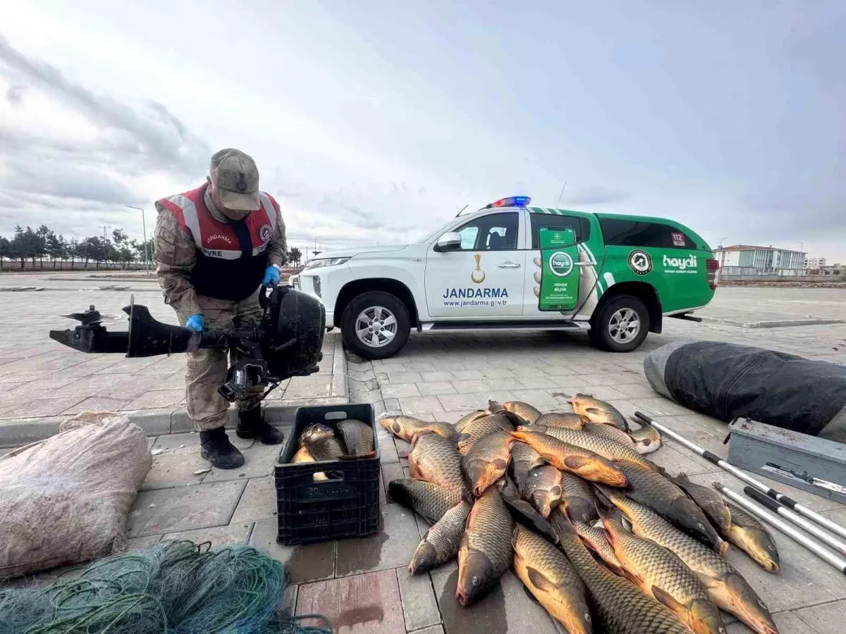 Şanlıurfa'da Yasa Dışında Balık Avlayan Şahsa 221 Bin TL Ceza