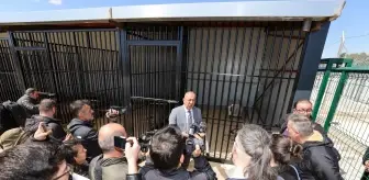 Meram Belediyesinden Sahipsiz Köpek Sorununa İnsani ve Vicdani Çözüm