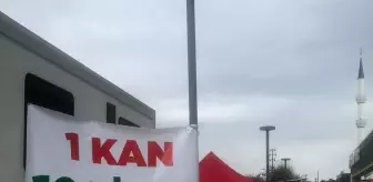 Türk Kızılay'dan '1 Kan 10 Fidan' Kampanyası: 3 Bin 500 Fidan Doğaya Armağan Edildi