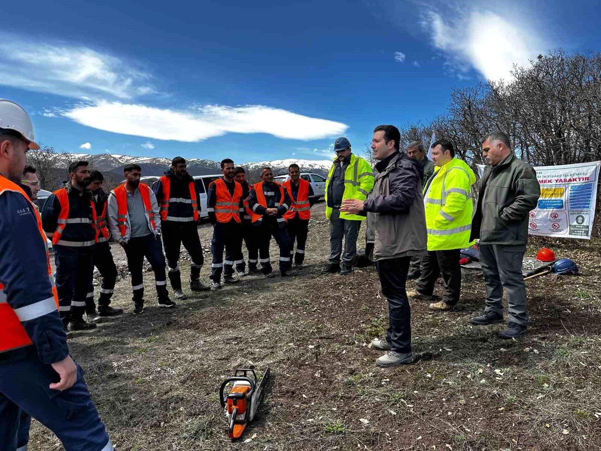 Aras Elektrik'ten Doğa Dostu Ağaç Budama Çalışmaları