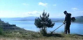 Ağın'da Mezarlık ve Parklarda Temizlik Çalışmaları Başlatıldı