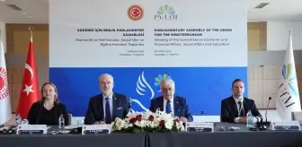 AİBPA Ekonomik ve Mali Konular, Sosyal İşler ve Eğitim Komitesi İstanbul'da toplandı