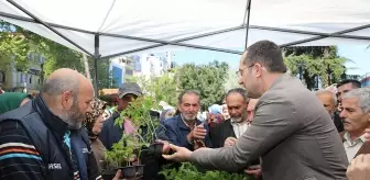 Akçaabat’ta 10 Bin Sebze Fidanı Ücretsiz Dağıtıldı