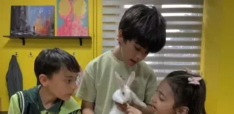 BİLSEM Öğrencileri Sınıf Hayvanları ile Sorumluluk ve Empati Geliştiriyor
