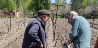 Amasya'da Bağ Alanları İçin Çiftçilere Eğitim