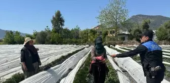 Anamur'da Polis, Tarım İşçilerini Dolandırıcılığa Karşı Uyardı