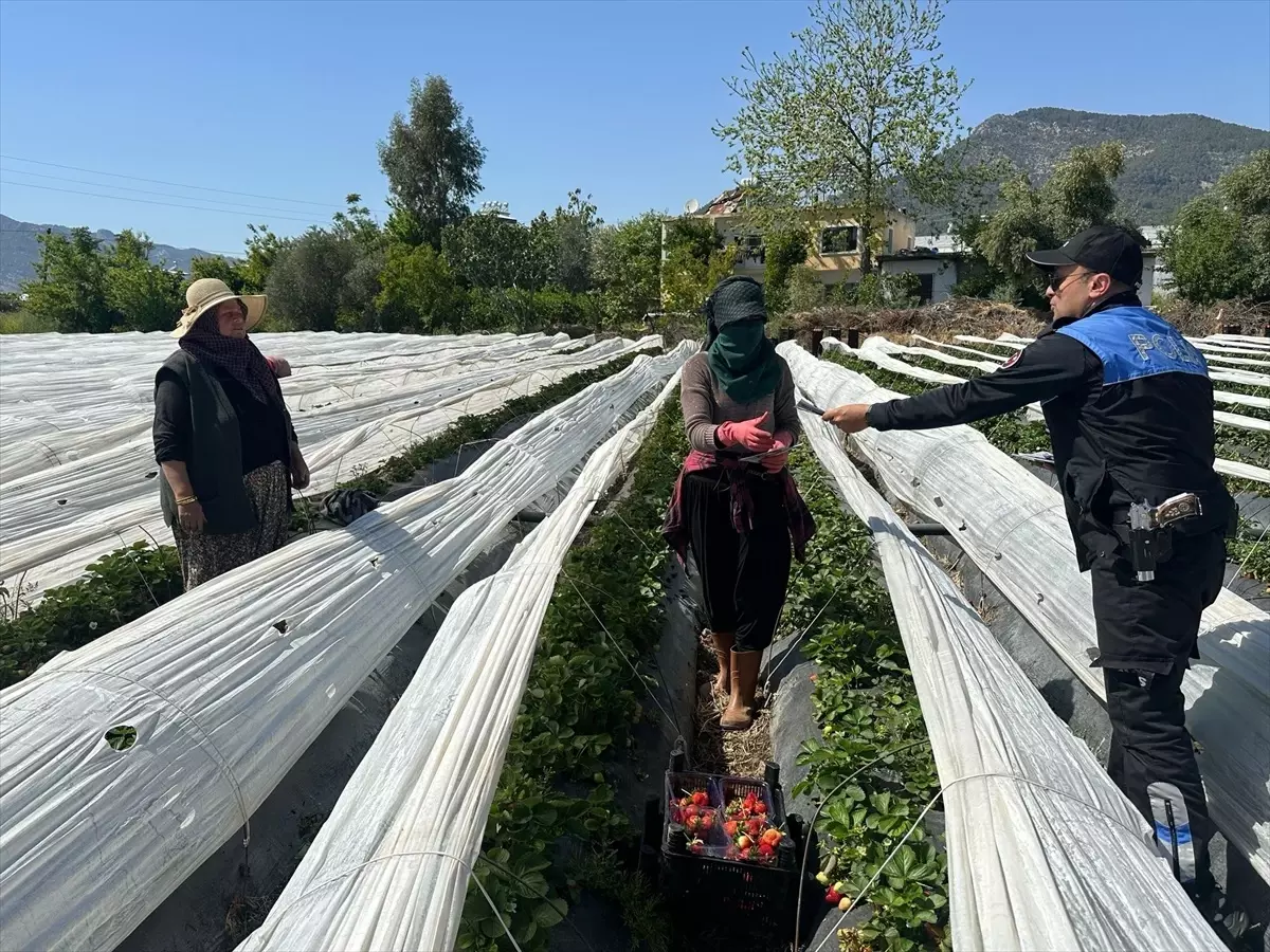 Anamur'da Polis, Tarım İşçilerini Dolandırıcılığa Karşı Uyardı