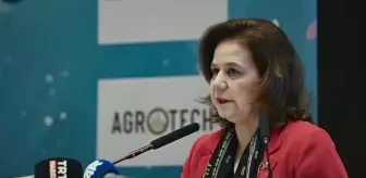 Ankara'da 'Blue Talks: Değişimin İçinde UNOC-3'e Giden Yol' paneli düzenlendi
