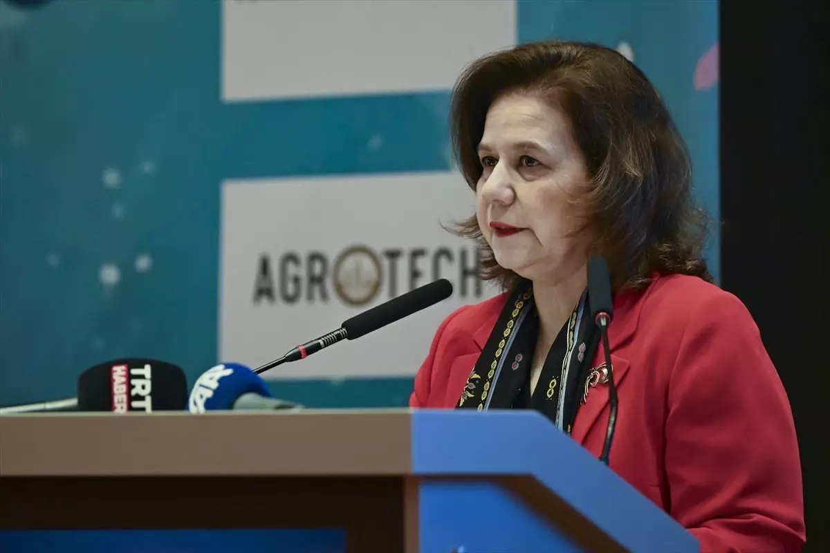 Ankara'da 'Blue Talks: Değişimin İçinde UNOC-3'e Giden Yol' paneli düzenlendi