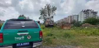 Antalya'da İhmal Edilen Köpek Barınağa Teslim Edildi