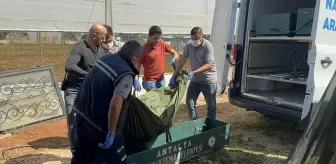 Antalya'da Çay Kenarında Erkek Cesedi Bulundu