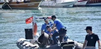 Antalya'da Deniz Dibi Temizliği Yapıldı