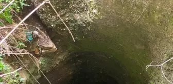 Serik'te Kuyuya Düşen 7 Köpek Yavrusunu İtfaiye Kurtardı