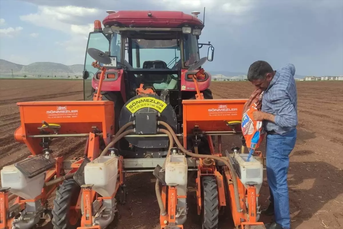 Gaziantep'in Araban İlçesinde Pamuk Ekimi Başladı