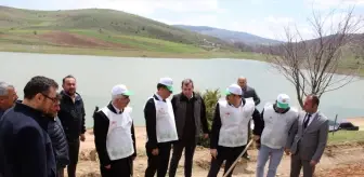 Artova'da 540 Çam Fidanı Toprakla Buluşturuldu