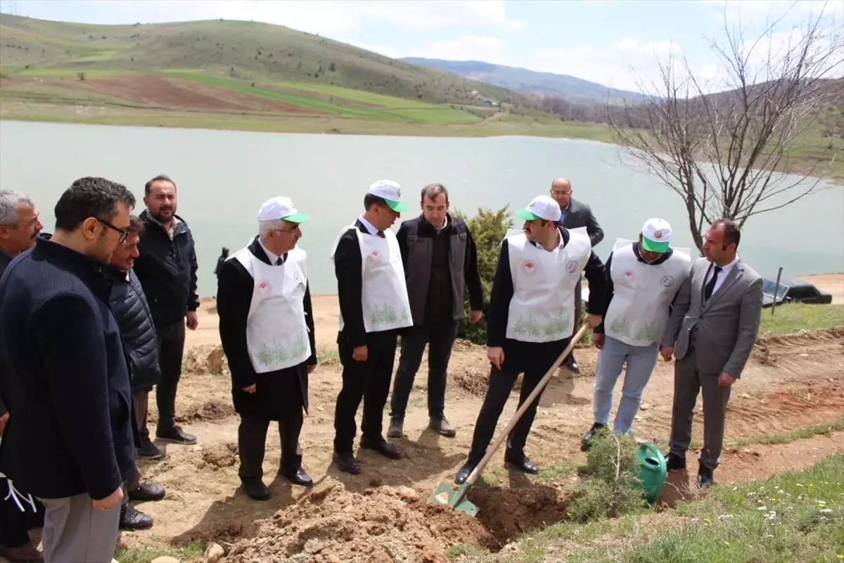 Artova'da 540 Çam Fidanı Toprakla Buluşturuldu