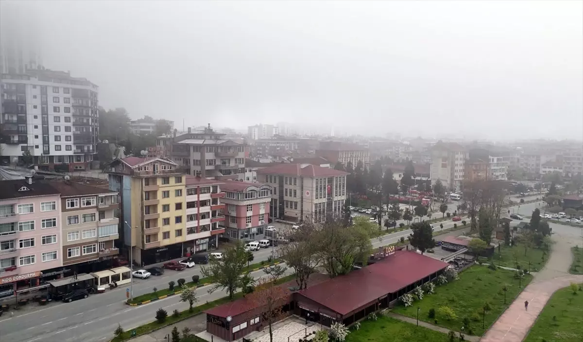 Artvin'de sis etkili oldu