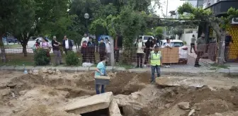 Aydın'da Antik Kent Yakınında Yol Çalışması Sırasında İnsan Kemikleri Bulundu
