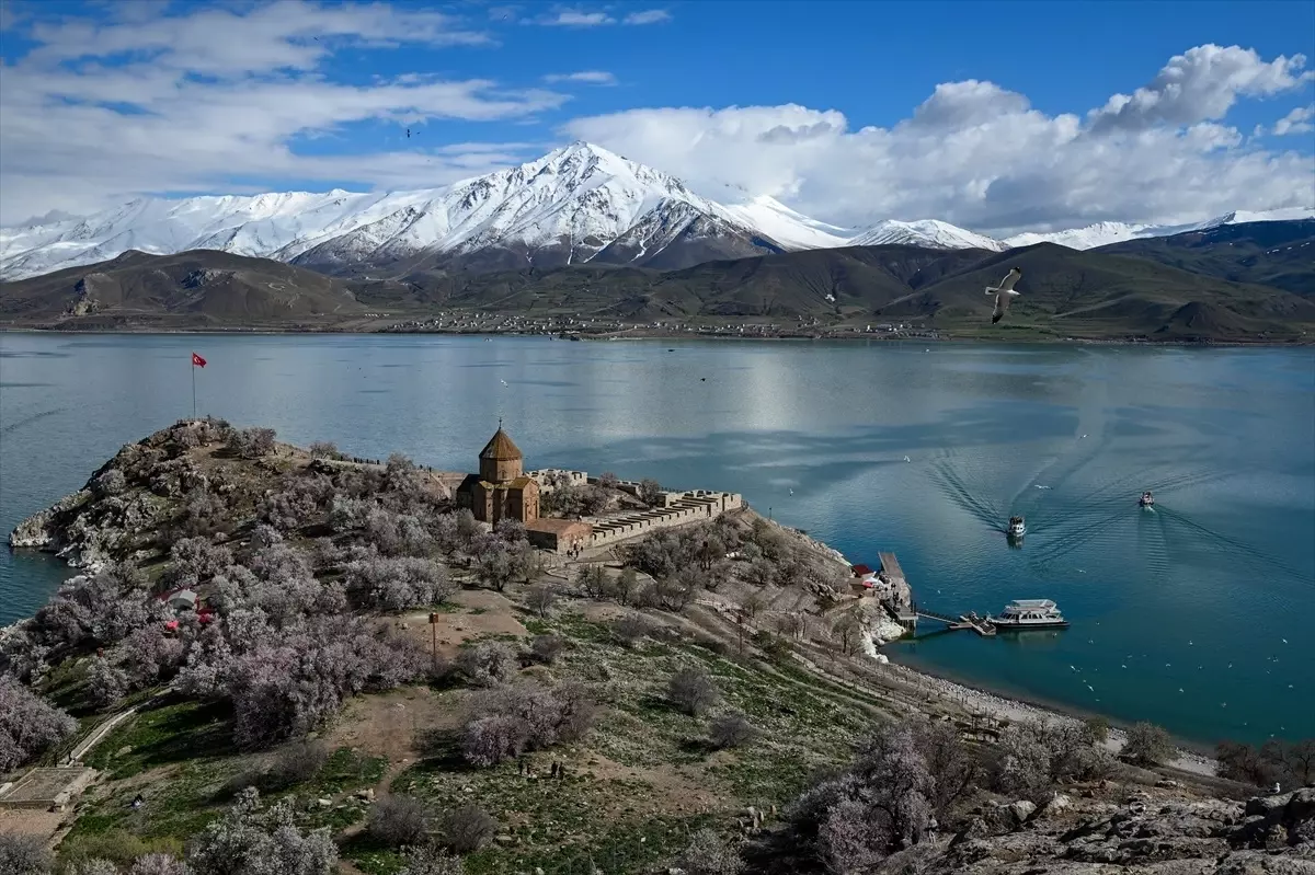 Akdamar Adası'nda 3. Badem Çiçeği Festivali Başlıyor