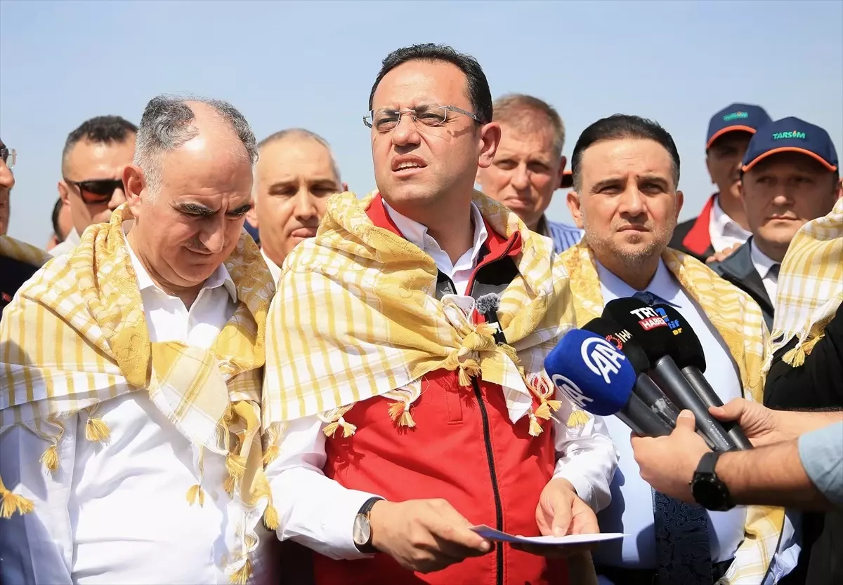 Bakan Yardımcısı Gizligider, Manisa'da zirai dondan etkilenen üzüm bağlarını inceledi Açıklaması