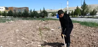 Batman'da 467 üniversite öğrencisi İŞKUR Gençlik Programı ile iş hayatına ilk adımı attı