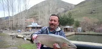 Bayburt'ta Gökkuşağı Alabalıklarında Yavru Üretimi Başladı