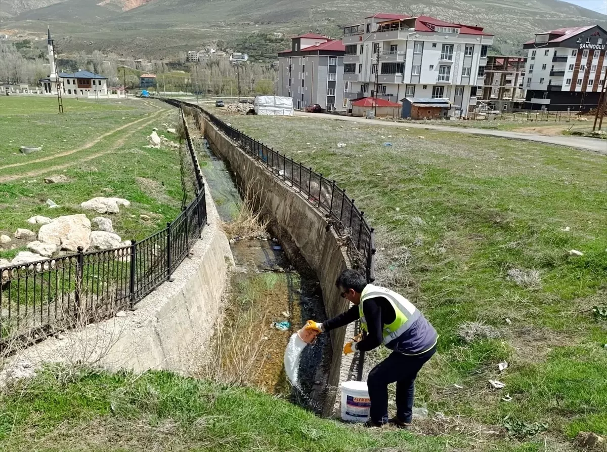 Bayburt'ta Sinek Mücadelesi Başladı