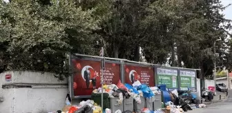 Beşiktaş'ta Çöp Sorunu: Esnaf ve Sakinler Belediye ile Sorun Çözümü Talep Ediyor
