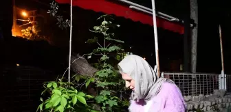 Bilecik'te Hıdırellez Geleneği Coşkuyla Kutlandı