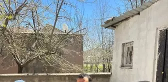 Bitlis'te Kolon Kanseri Farkındalığı Artırılıyor