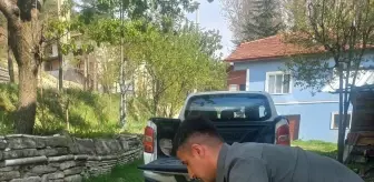 Yaralı Leylek Göynük'te Tedavi Altına Alındı